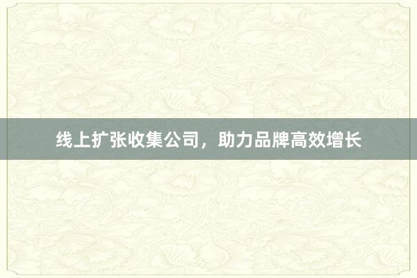线上扩张收集公司，助力品牌高效增长