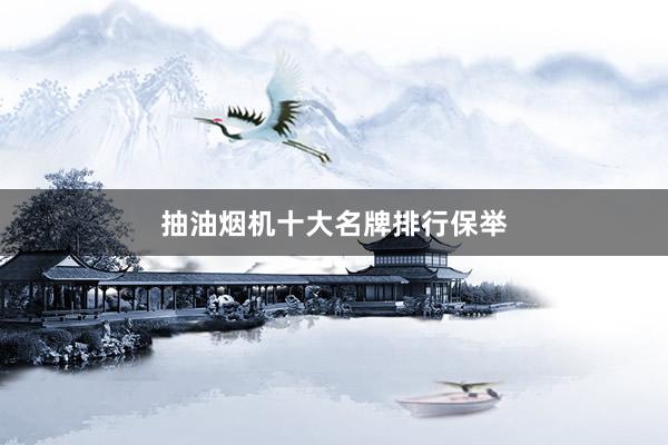 抽油烟机十大名牌排行保举