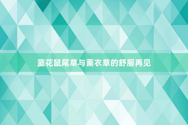 蓝花鼠尾草与薰衣草的舒服再见